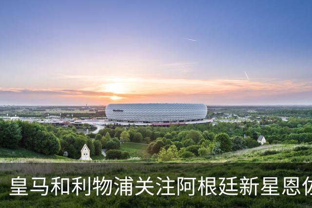 皇马和利物浦关注阿根廷新星恩佐 本菲卡标价1.2亿